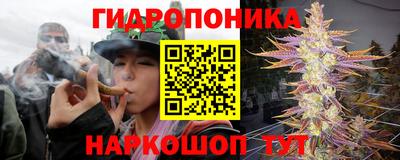 apvp Уссурийск