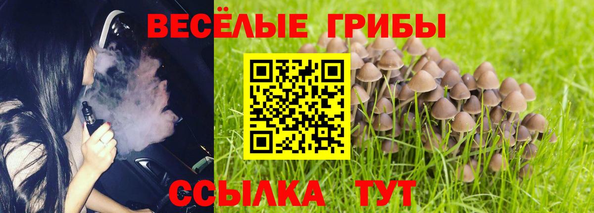 Галлюциногенные грибы мухоморы  Галлюциногенные грибы ЛСД  Азнакаево  Вход с VPN 
